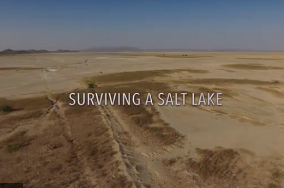 Surviving a Salt Lake