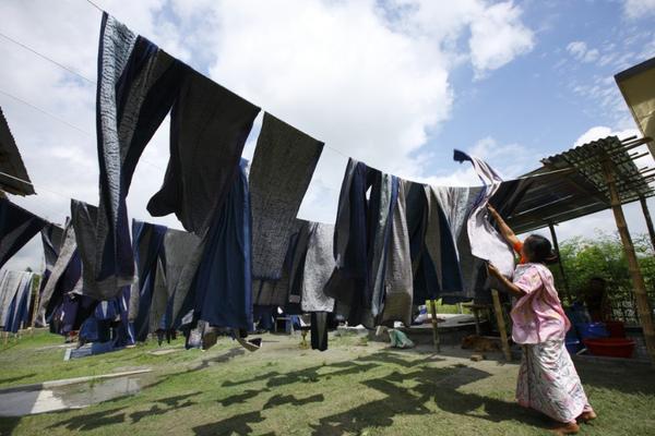 Living Blue: Reflections on Indigo