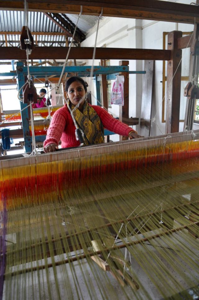 AVANI: The Weaver