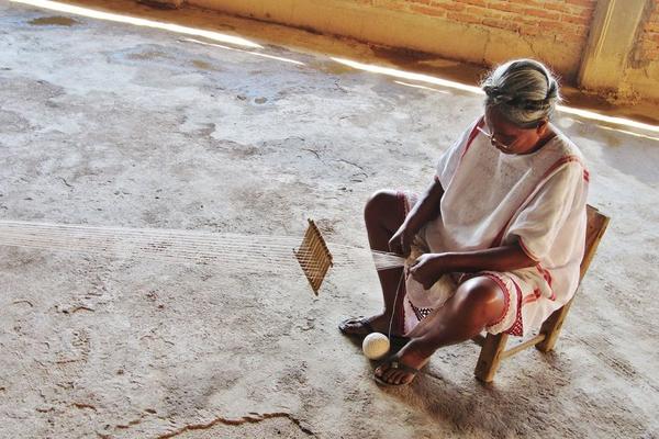 La Flor de Xochistlahuaca