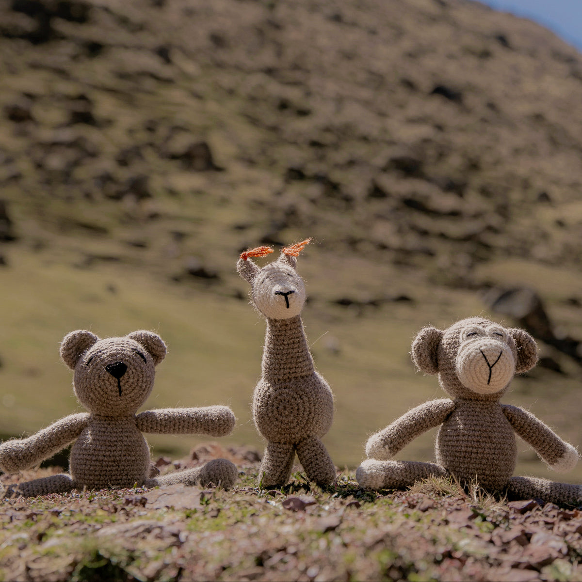 Three handmade crocheted stuffed toys—a teddy bear, a llama, and a monkey—sit on a rocky hillside .