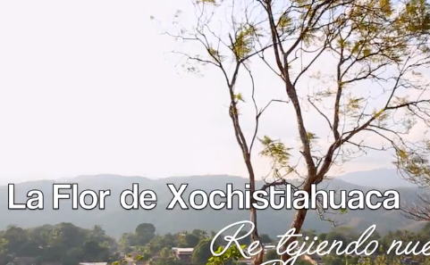 Help Renovate the Studio of La Flor de Xochistlahuaca.