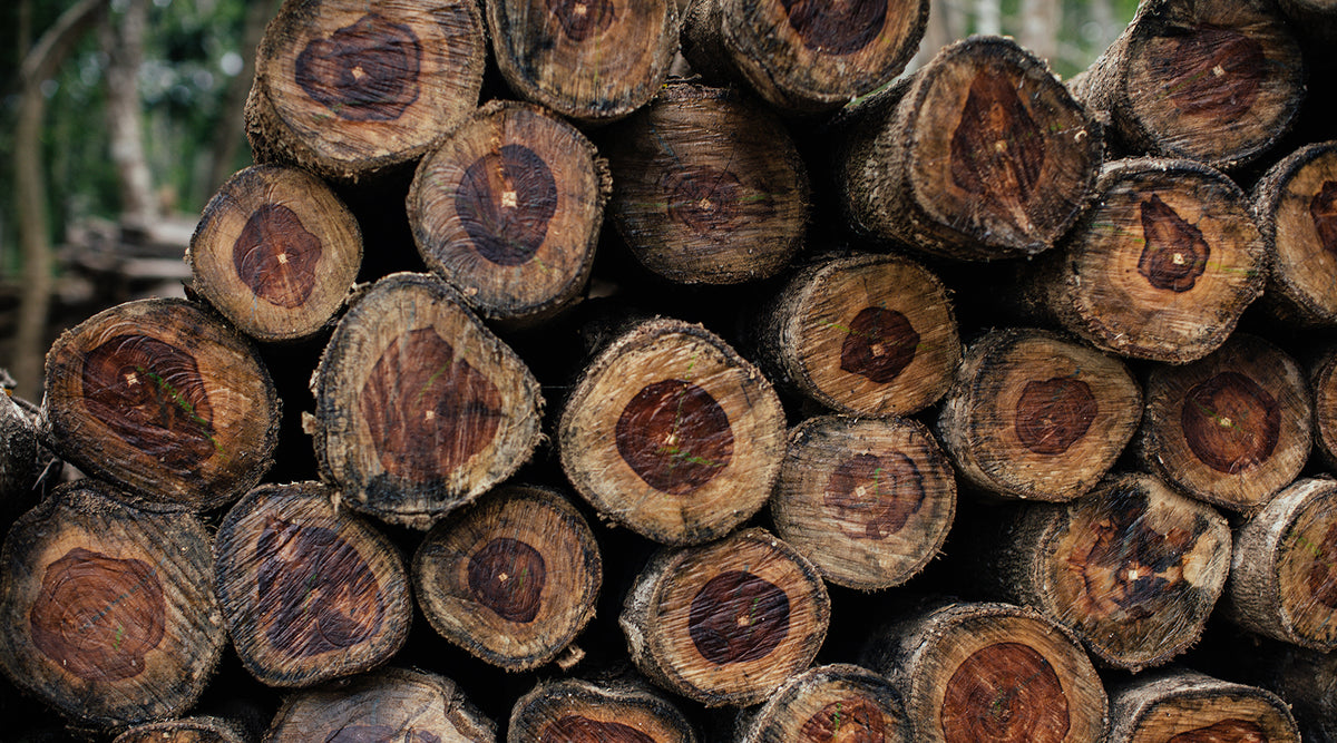 Itza Wood