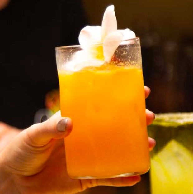 Xaquixe Handblown Glass - Large - Set of 6 in Assorted Colors or Clear