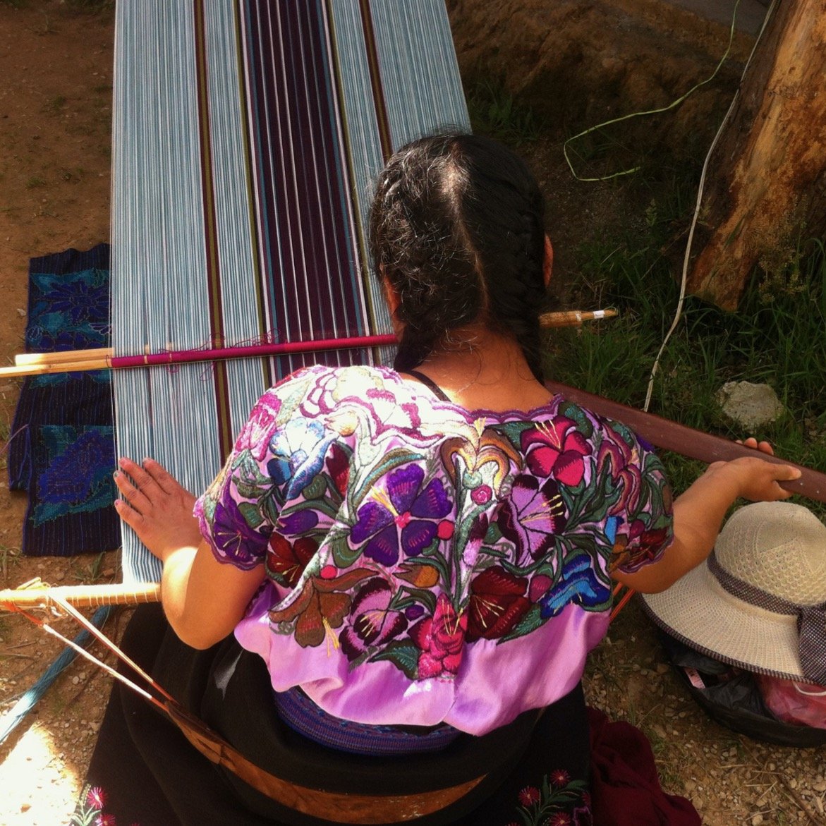 Become a Friend of Sprout Enterprise®