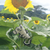 La Cuyancua from Sprout Enterprise®